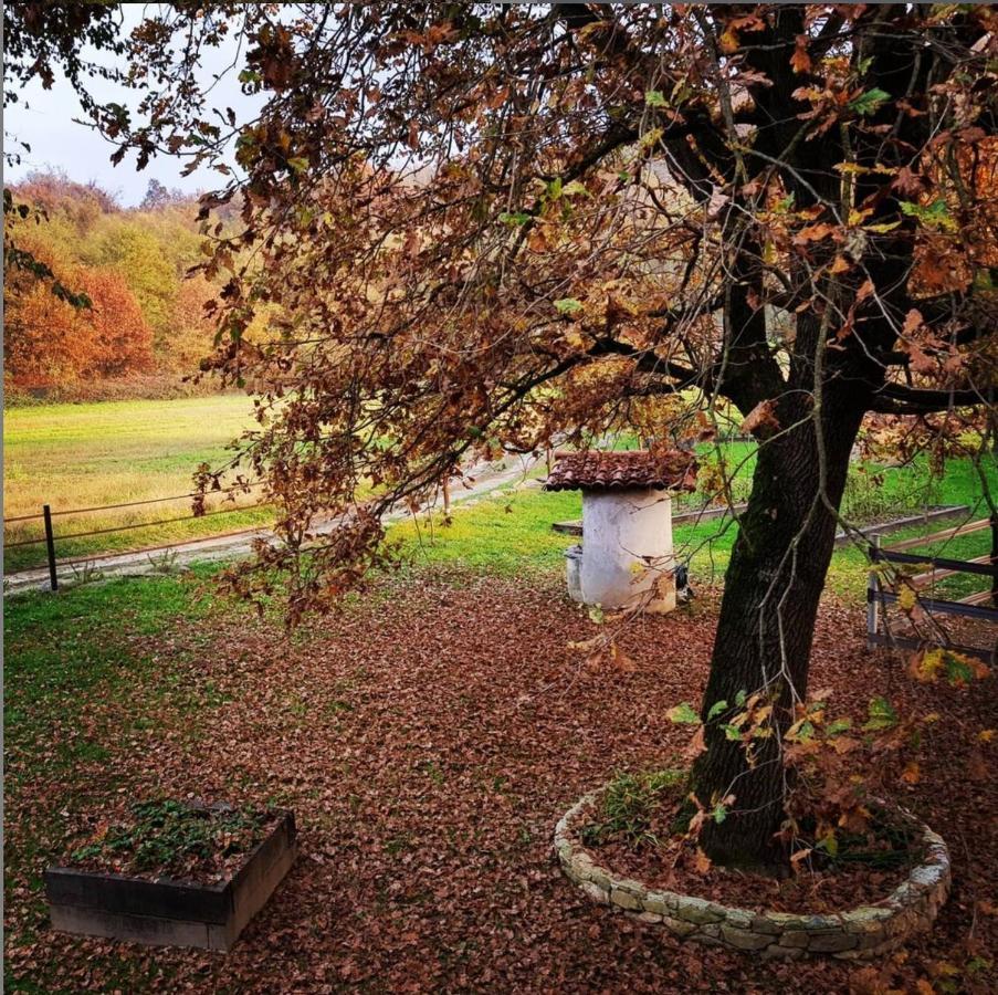 Cameloth B&B Settimo Rottaro Esterno foto
